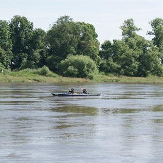 Auf der Elbe