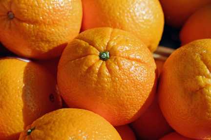 frische Orangen