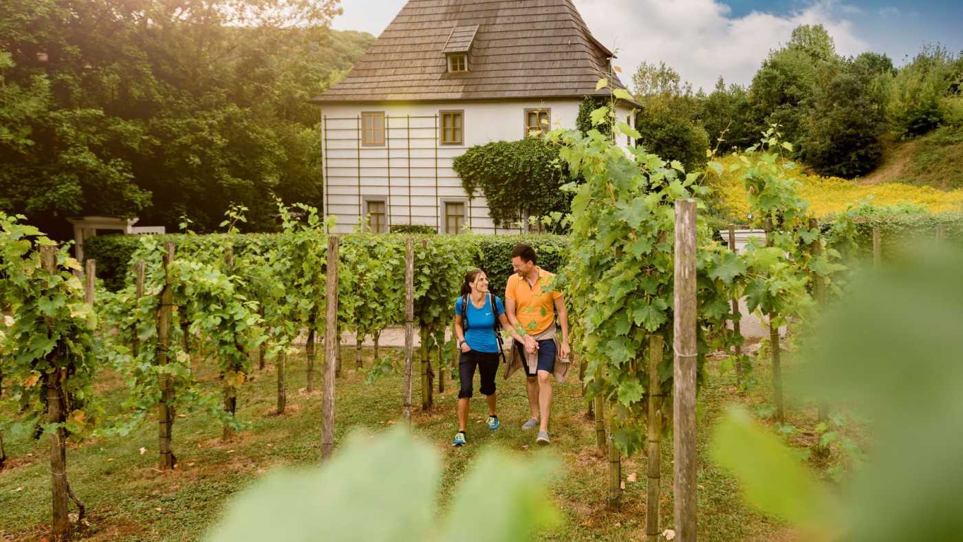 Bad Sulzaer Weinwanderweg (c) Saale-Unstrut-Tourismus e.V., Transmedial