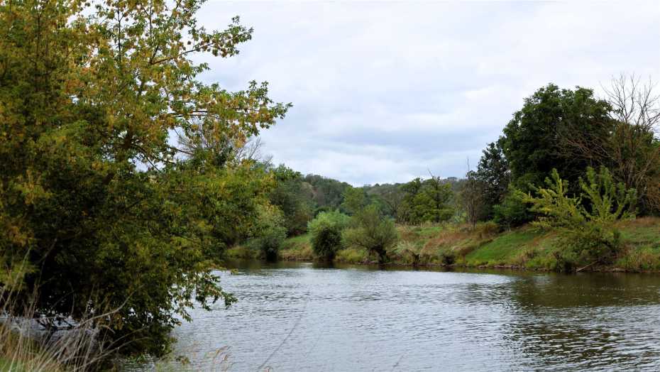 Ruhiger Saaleblick bei Wettin