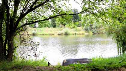 Ruderboot am Ufer der Saale unter Bäumen, Blick auf das gegenüberliegende grüne Ufer