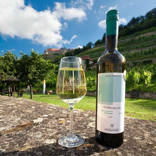 Weißwein vor den Weinbergen in Freyburg an der Saale-Unstrut beim Weinfrühling