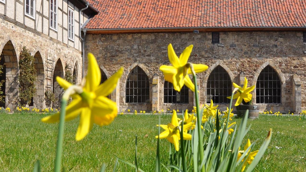 Frühling Kloster Michaelstein