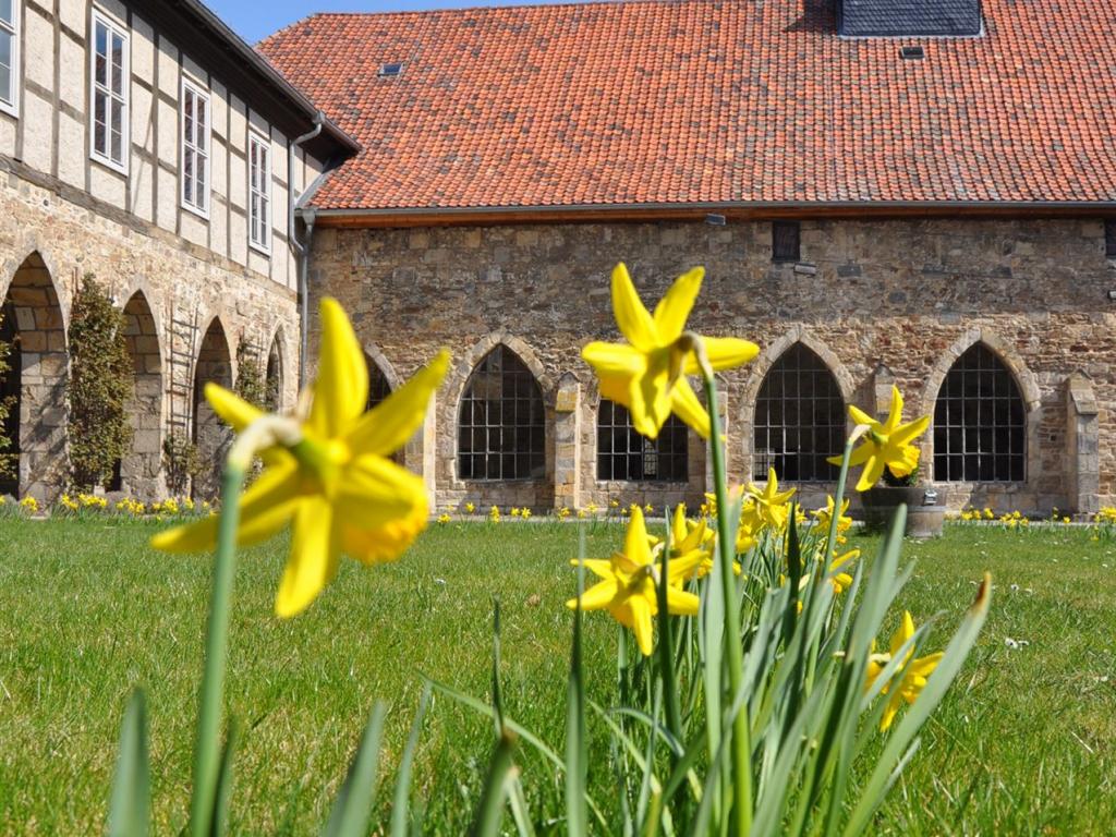 Frühling Kloster Michaelstein