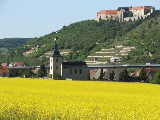 Blick auf Freyburg mit Weinbergen und Schloss Neuenburg über dem Unstruttal