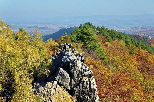 Felsformationen der Teufelsmauer mit Wald und Blick ins Harzvorland