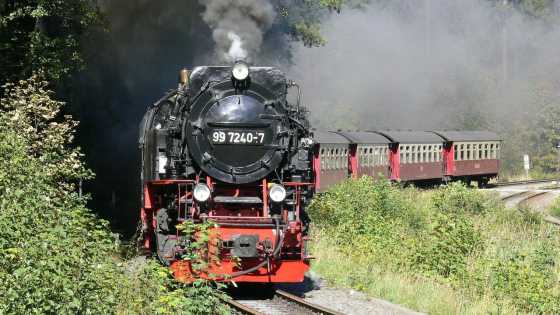 Dampflok der Harzer Schmalspurbahn mit Personenzug im Harz