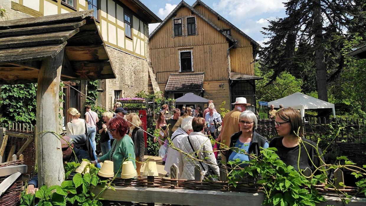 Kräutertag & Frühlingsmarkt im Kloster Michaelstein