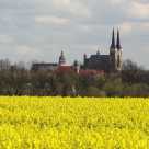 Köthen_in_Anhalt_Silhouette_Rathaus_Schloss_Rapsfeld_Aufnahme_und_Copyright_MEH_Bergmann