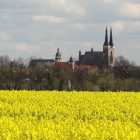 Köthen_in_Anhalt_Silhouette_Rathaus_Schloss_Rapsfeld_Aufnahme_und_Copyright_MEH_Bergmann