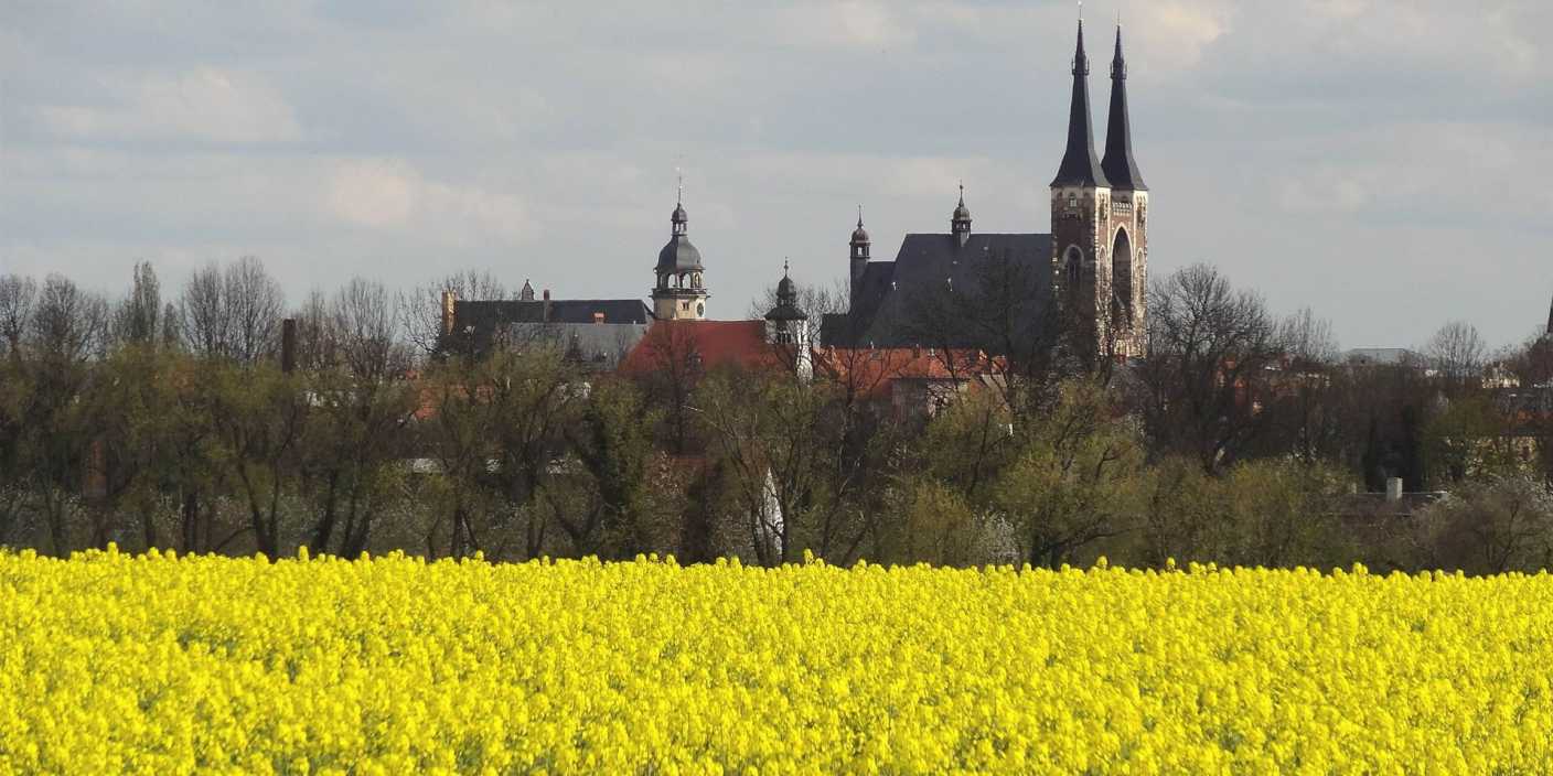 Köthen_in_Anhalt_Silhouette_Rathaus_Schloss_Rapsfeld_Aufnahme_und_Copyright_MEH_Bergmann
