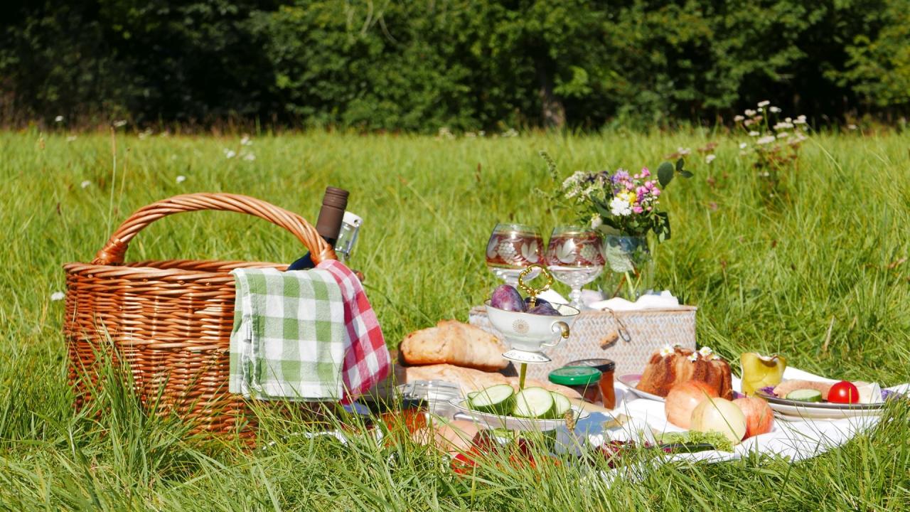 Picknicktag2_Gartenträume Sachsen-Anhalt e. V