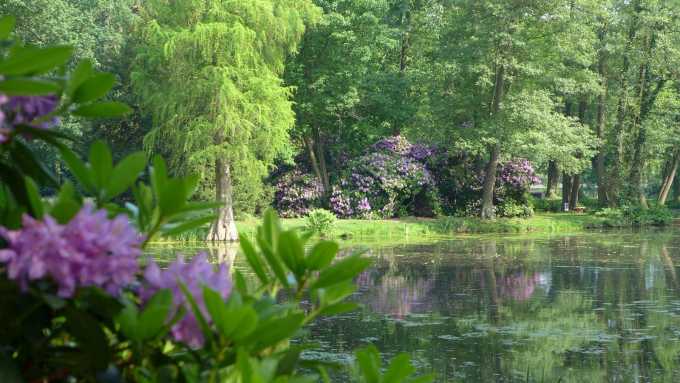 Schlosspark Krumke - Gartenträume Sachsen-Anhalt e. V