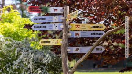 bunte Hinweisschilder Tierpark in Dessau-Roßlau