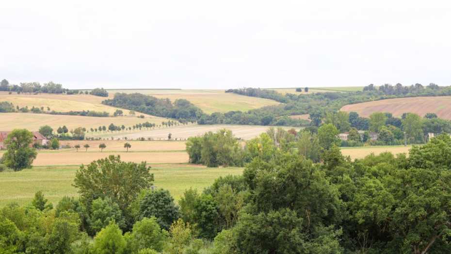 Weitblick über die Felder