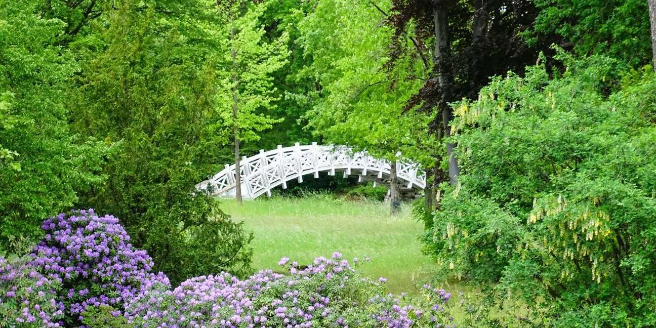 Weiße Brücke Wörlitzer Park