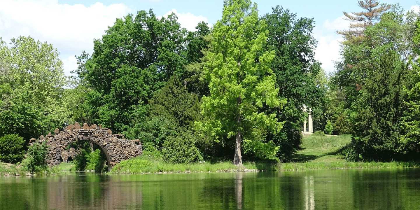 Blick auf Brücke und Tempel im Wörlitzer Park